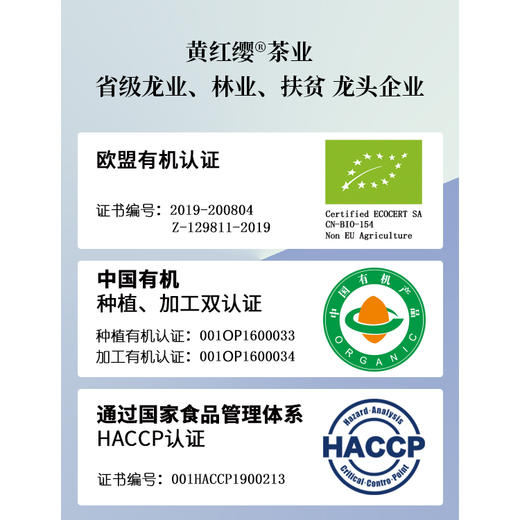黄红缨·瓮安黄金芽108克 商品图4