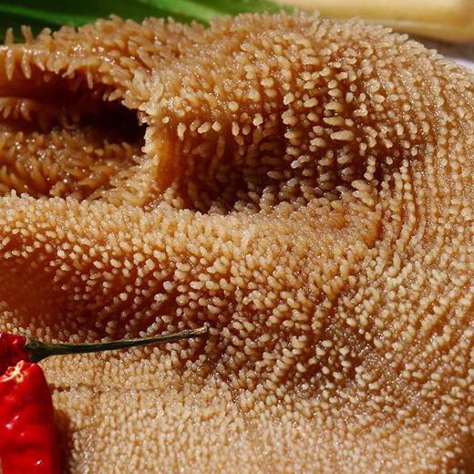 水牛无地板黑毛肚3斤 商品图5