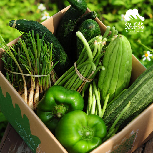 有机丰产瓜豆根茎包 | 绿家自产* organic vegetable box | self