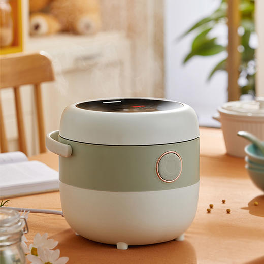 【小程序】小熊电饭煲家用迷你煮饭锅1-2人3-4人小型多功能智能柴火饭电饭锅DFB-B16C1 商品图6
