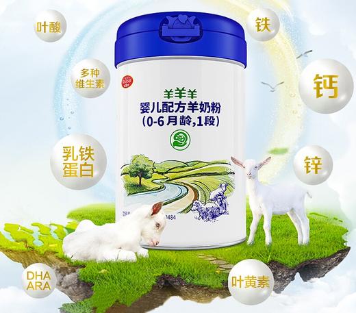【羊羊羊】 奶粉1段新生儿奶粉婴儿羊奶粉宝宝奶粉0-6月羊羊宜贝奶粉 商品图2