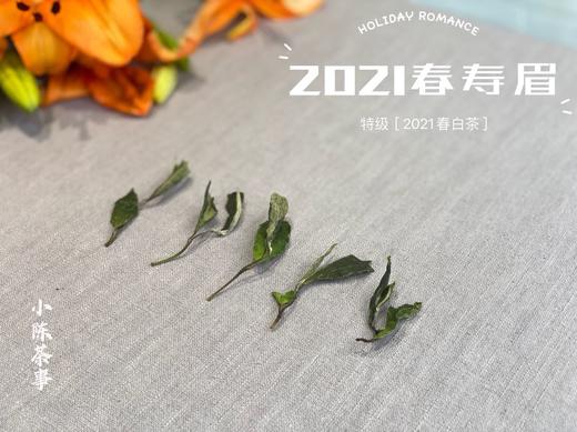 2021年首款春茶，2021一级春寿眉花弄影花香袭来（收藏装） 商品图5