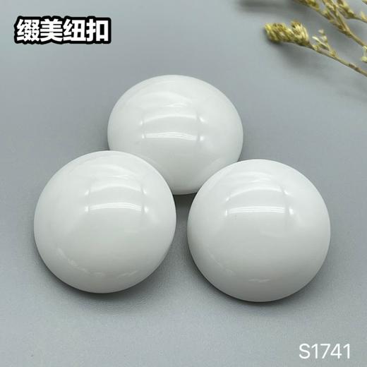 S1741(整包购买) 商品图1