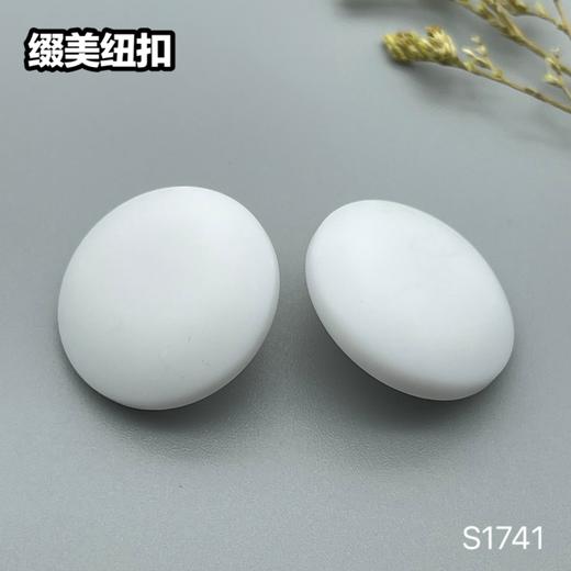 S1741(整包购买) 商品图3