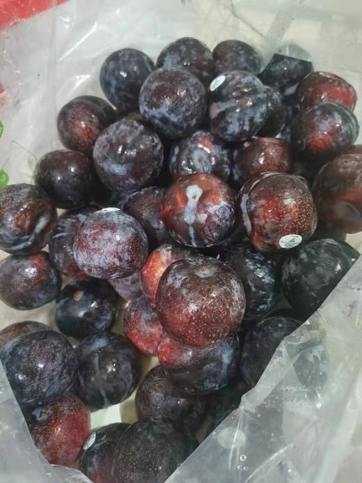 bplum美国黑布林