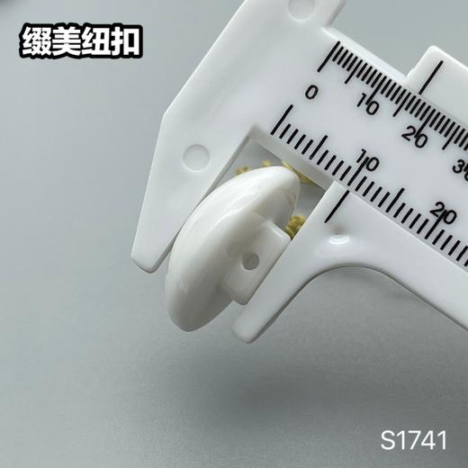 S1741(整包购买) 商品图11