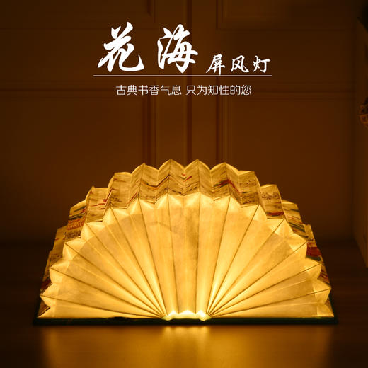 花海书本灯 商品图3