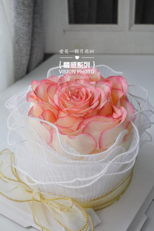 爱是一棵月亮树 商品图0