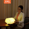 BMQ蓝牙书灯带遥控书灯 商品缩略图1