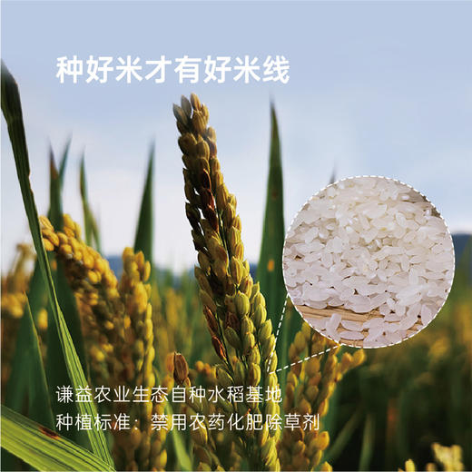 【益品良食】简箪 原味生态米线 安心早餐 500g/袋 商品图3