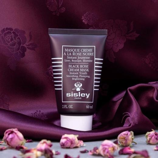 法国 Sisley希思黎 黑玫瑰焕采紧致涂抹面膜 60ml B 商品图7