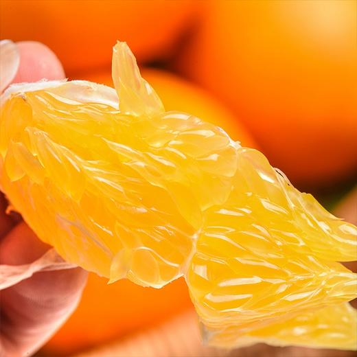 【云南高原无籽沃柑】5斤/箱，爆甜多汁 风味浓郁 商品图3