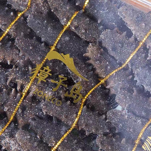 B1F 獐子岛尊享淡干海参 100g/盒 商品图7