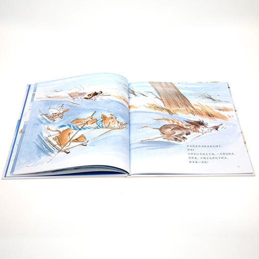 淘气小驴系列 小驴去滑冰 商品图4