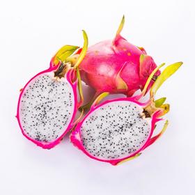 【生鲜预定】白心火龙果1kg