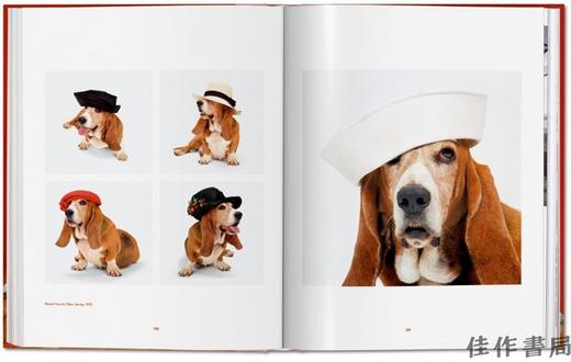 Walter Chandoha. Dogs. Photographs 1941–1991/沃尔特·钱多哈 狗 1941–1991年的摄影 / Taschen 原版摄影集 商品图4