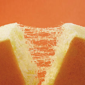 【肉松小蛋糕！ 食品界的“奥斯卡”】糕中松a1 颠覆口感 沙沙脆弹 肉松藏进蛋糕里 丝丝相融会拉丝