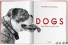 Walter Chandoha. Dogs. Photographs 1941–1991/沃尔特·钱多哈 狗 1941–1991年的摄影 / Taschen 原版摄影集 商品缩略图1