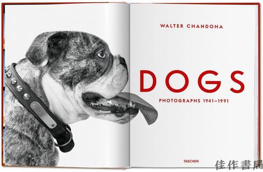 Walter Chandoha. Dogs. Photographs 1941–1991/沃尔特·钱多哈 狗 1941–1991年的摄影 / Taschen 原版摄影集 商品图1