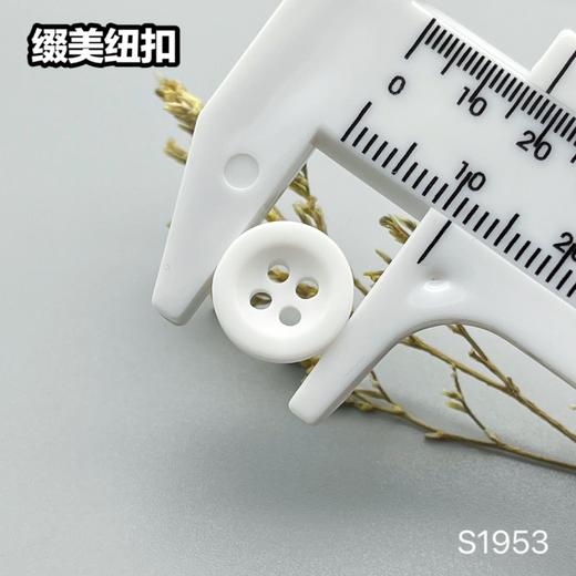 S1953(整包购买) 商品图10