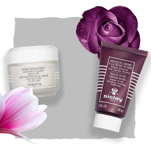 法国 Sisley希思黎 黑玫瑰焕采紧致涂抹面膜 60ml B 商品图9