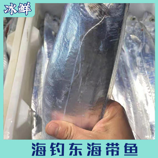 海钓东海带鱼（纯手钓当日钓） 商品图2