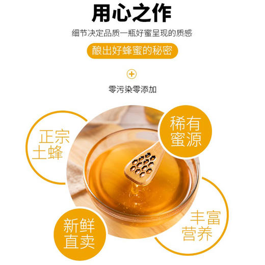 贡宝林土蜂蜜 中华土蜂无添加无污染 500g/瓶 商品图1