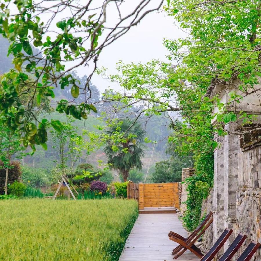 【冬令·大促】温州永嘉楠溪江 谷原度假民宿