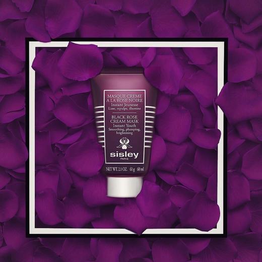 法国 Sisley希思黎 黑玫瑰焕采紧致涂抹面膜 60ml B 商品图2