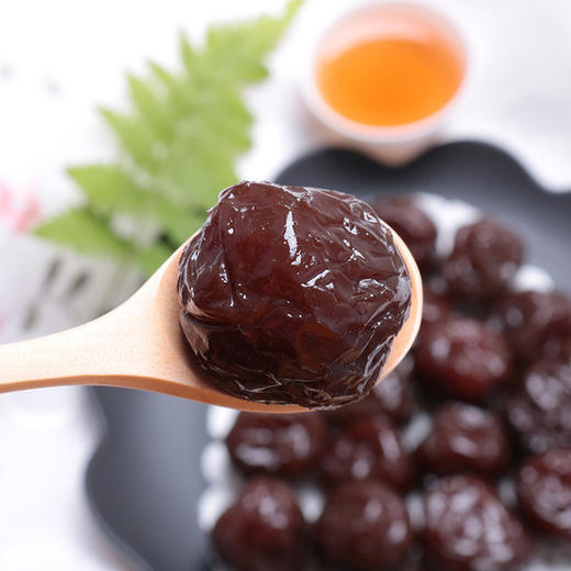 食品酒水零食嘉应子500g散装潮汕李子干小卖部超市休闲年货零食