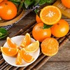 【云南高原无籽沃柑】5斤/箱，爆甜多汁 风味浓郁 商品缩略图0