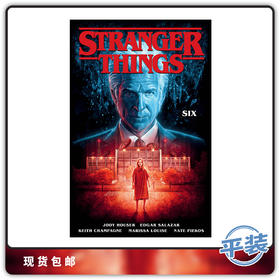 英文原版 怪奇物语 Vol 2 Stranger Things 漫画合集