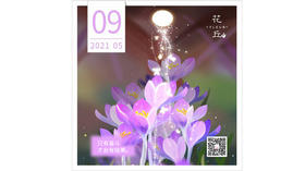 【花丘•心语】