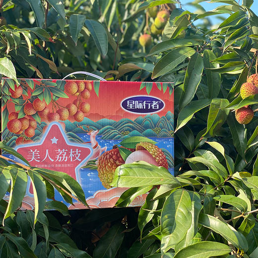 妃子笑荔枝 商品图4