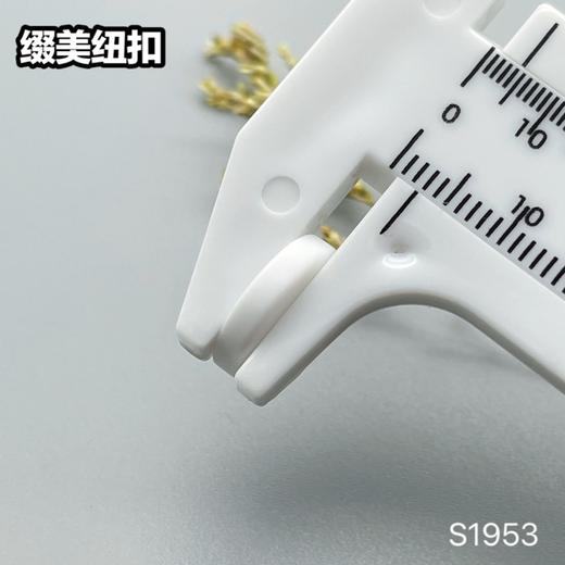 S1953(整包购买) 商品图12