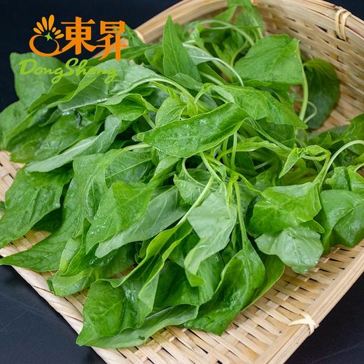 东升农场 青苋菜苗 汉菜苗 青香苋 供港蔬菜新鲜配送 300g