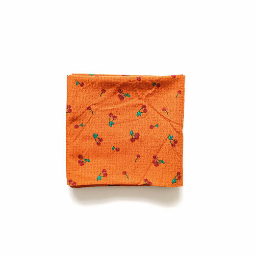 HUGOJIRO薄款长围巾水果食物系列 商品图0