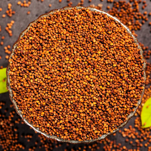 神农金康 菟丝子茶300克 正宗兔丝子泡茶水酒配料  原生态真滋补 喝护家人健康 商品图5