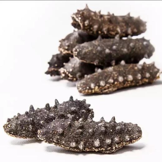 B1F 獐子岛尊享淡干海参 100g/盒 商品图5