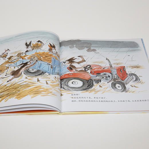 淘气小驴系列 小驴收玉米 商品图2