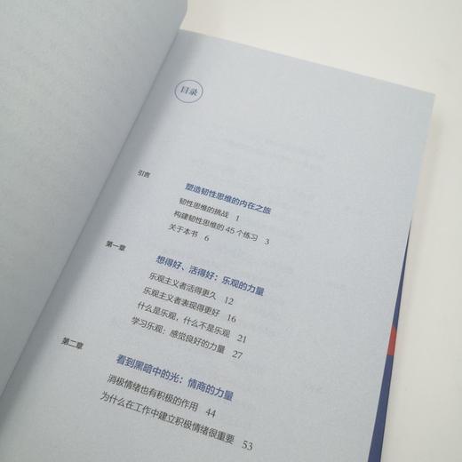 韧性思维：培养逆商、低谷反弹、持续成长 商品图9