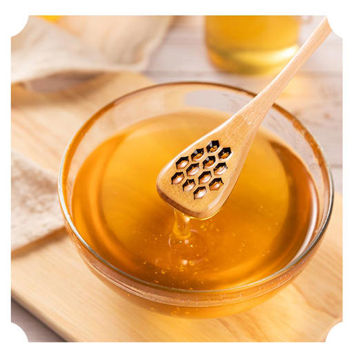 贡宝林土蜂蜜 中华土蜂无添加无污染 500g/瓶 商品图4