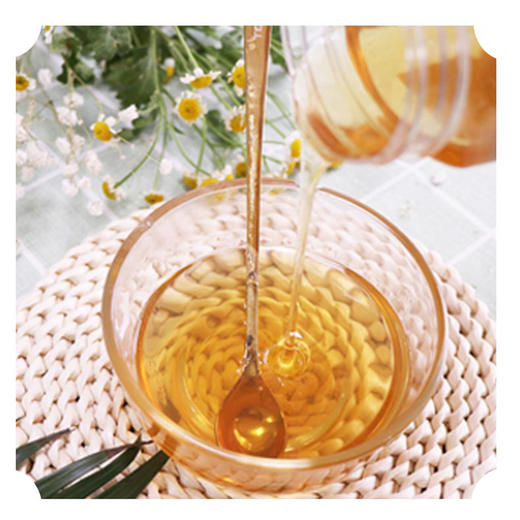 贡宝林土蜂蜜 中华土蜂无添加无污染 500g/瓶 商品图3