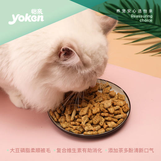 {新包装}怡亲猫薄荷鱼形饼干香酥松脆猫咪小饼干磨牙洁齿零食80g 商品图1