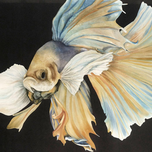 丝绸颜料套装（含水基抗蚀剂） 商品图1