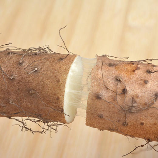 【蔬】铁棍山药1根 约300g 商品图2