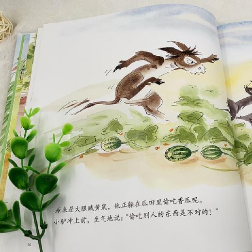 淘气小驴系列（4册） 商品图2