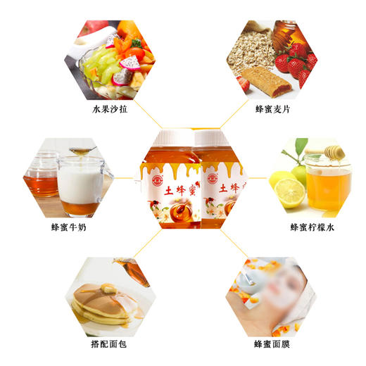 贡宝林土蜂蜜 中华土蜂无添加无污染 500g/瓶 商品图5
