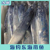 海钓东海带鱼（纯手钓当日钓） 商品缩略图3