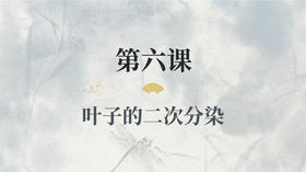 第六课- 叶子的二次分染丨涂国喜老师